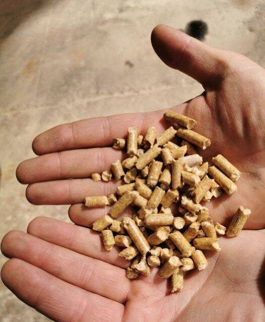 Wood pellet - obrazek 3